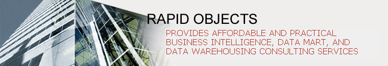 Rapid Objects provides affordable and practical business intelligence, data mart, and data warehousing consulting services